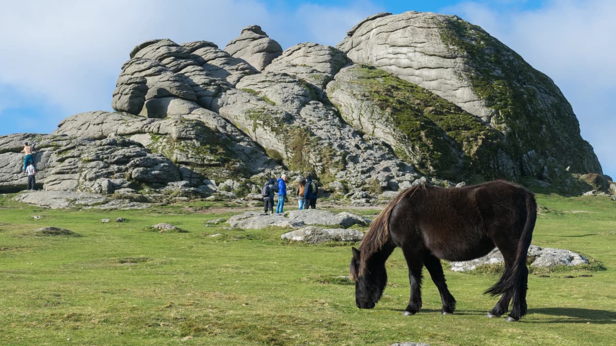 Dartmoor National Park Authority to appeal wild camping ban thepost